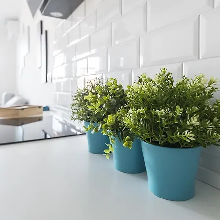 Attico Del Duomo モデナ