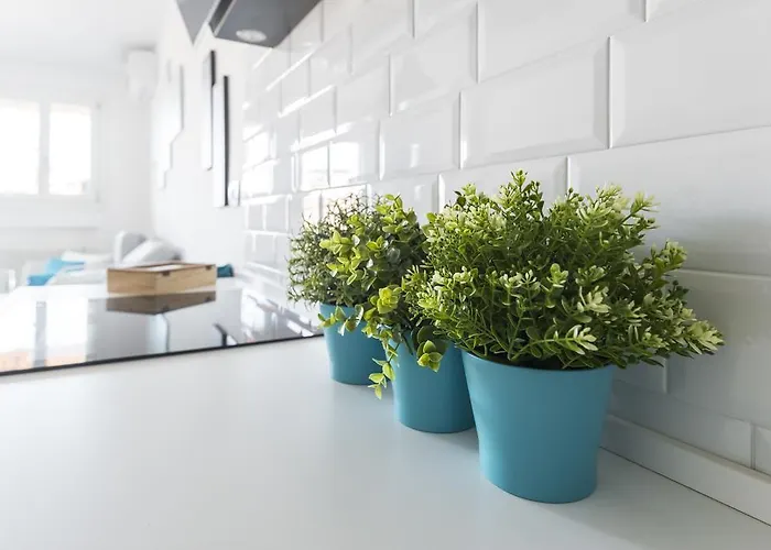 Attico Del Duomo Modena